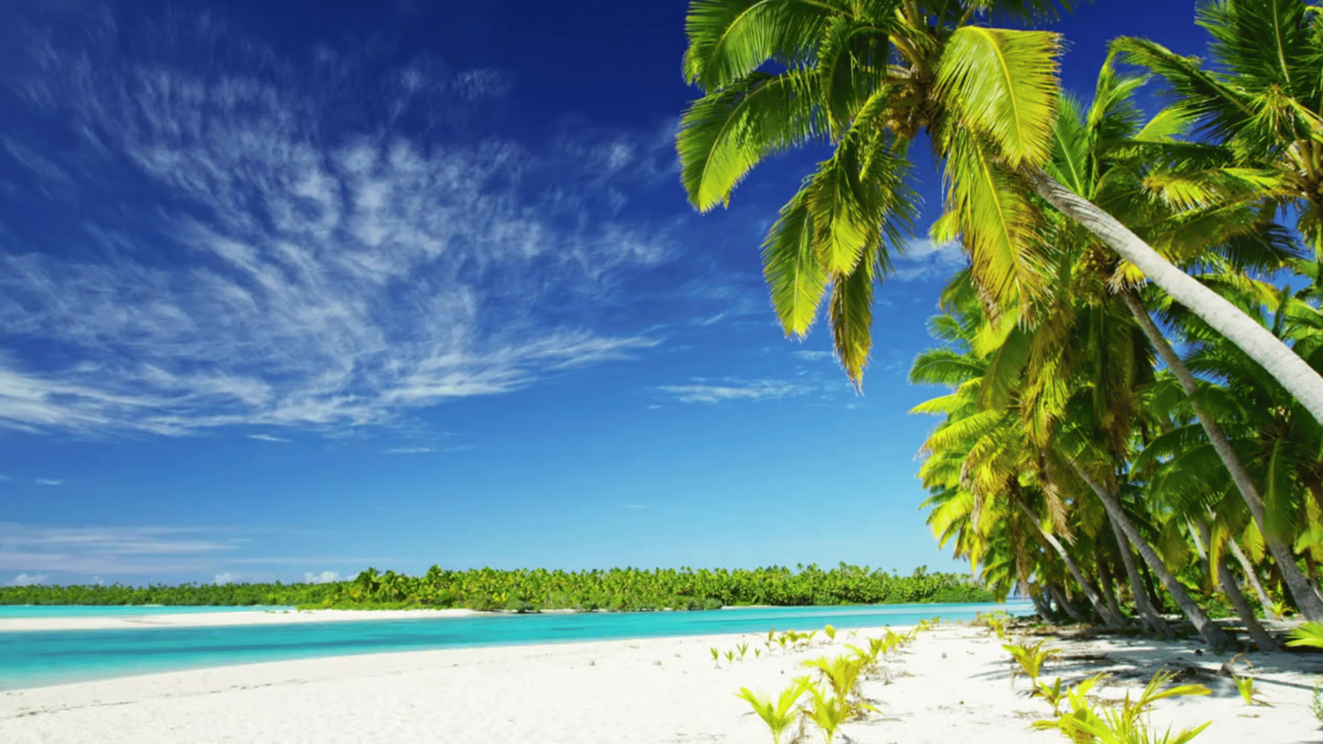 Everything you need to know about Lakshadweep