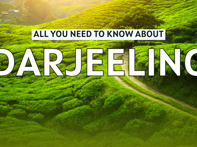 Travel Guide For Darjeeling – Everything You Need To Know