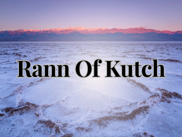 Rann of Kutch Travel Guide 2025: Everything You Need to Know About the White Salt Desert & Rann Utsav