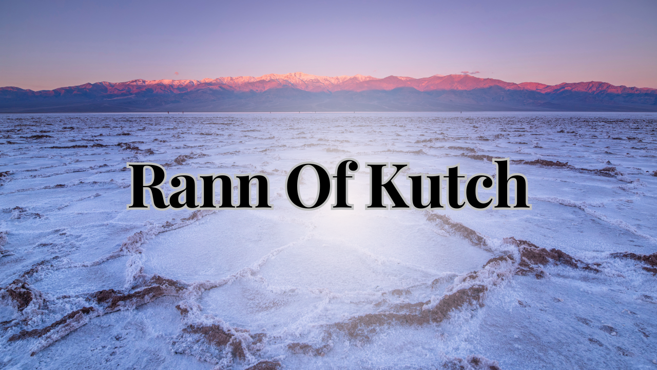 Rady Rann Rann Of Kutch : The White Desert Of India