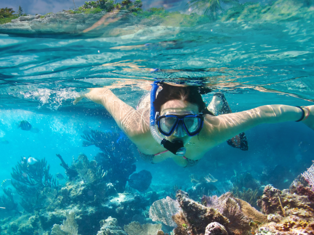 Andaman & Nicobar Islands : The Ultimate Travel Guide 2026