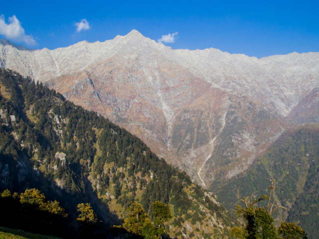 Dharmshala Travel Guide 2025: Your Insider Blueprint for a Magnetic Himalayan Escape