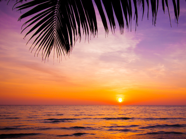 Top Beaches In India For Your Next Vacation