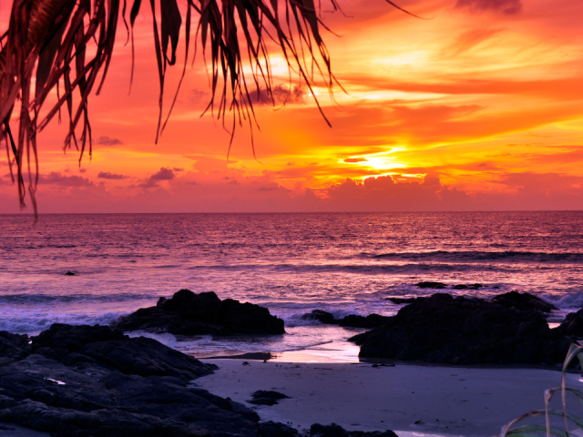 Discover Thailand’s Top 5 Islands: Beautiful Islands To Visit In Thailand